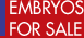 Embryons &agrave; vendre